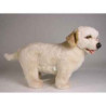 Peluche debout labrador retriever 50 cm Piutre   1224