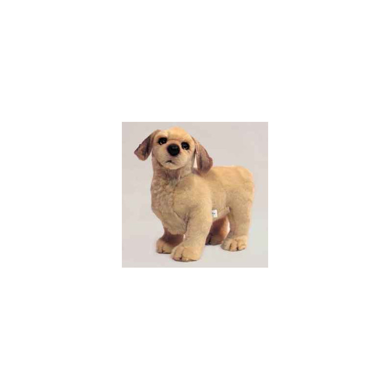 Animaux-Bois-Animaux-Bronzes propose Chien Golden retriever 40 cm peluche animaux debout réaliste Piutre 2203