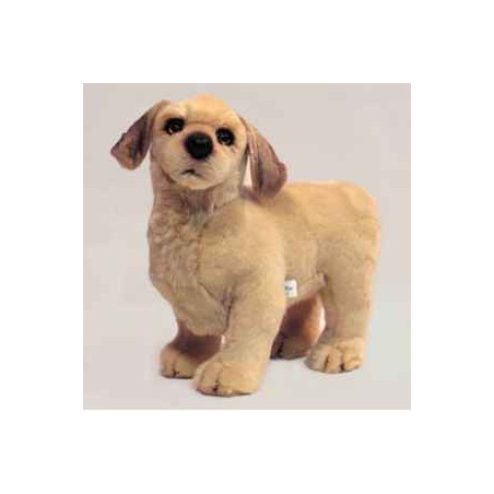 Animaux-Bois-Animaux-Bronzes propose Chien Golden retriever 40 cm peluche animaux debout réaliste Piutre 2203