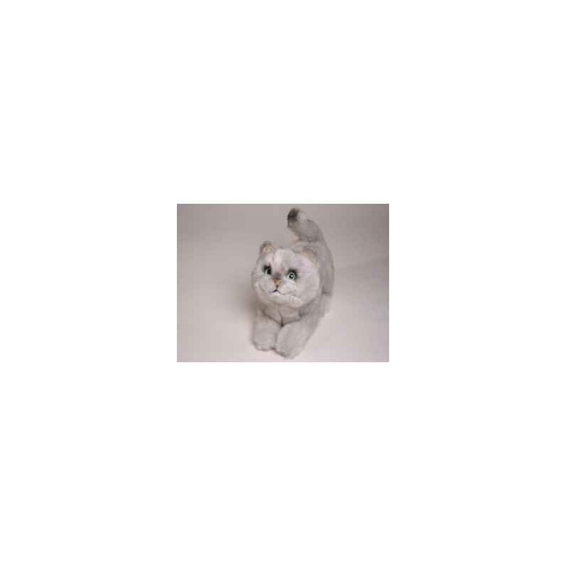 Peluche allongée chat british poils Coeurts 28 cm Piutre   2463