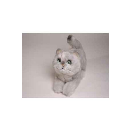 Peluche allongée chat british poils Coeurts 28 cm Piutre   2463