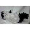 Peluche chat Turc de Van noir et blanc qui joue 45 cm Piutre  -330