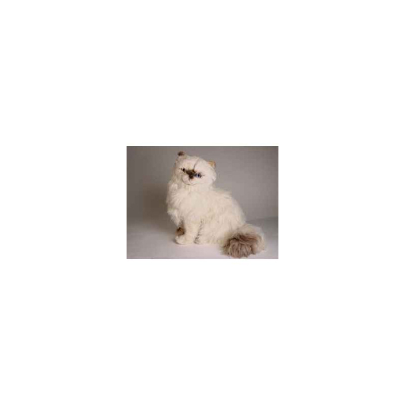 Peluche assise chat colour point himalayan 40 cm Piutre   2431