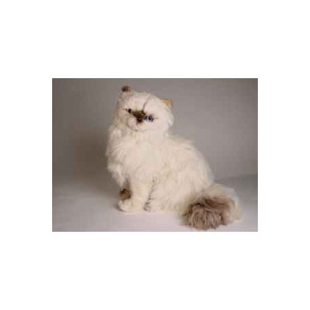 Peluche assise chat colour point himalayan 40 cm Piutre   2431