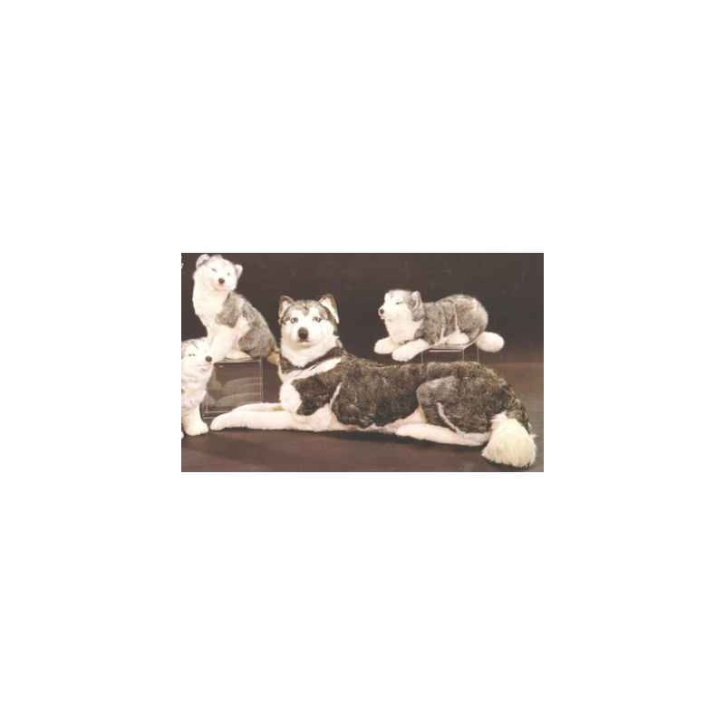 Animaux-Bois-Animaux-Bronzes propose Chien Husky de Sibérie 85 cm peluche animaux allongés réaliste Piutre 2212