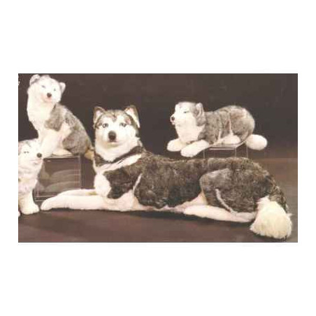 Animaux-Bois-Animaux-Bronzes propose Chien Husky de Sibérie 85 cm peluche animaux allongés réaliste Piutre 2212