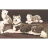 Animaux-Bois-Animaux-Bronzes propose Chien Husky de Sibérie 85 cm peluche animaux allongés réaliste Piutre 2212