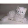 Peluche allongée chat persan chinchilla blanc 50 cm Piutre   2301