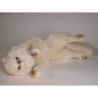 Peluche chat beige qui joue 50 cm Piutre  -317