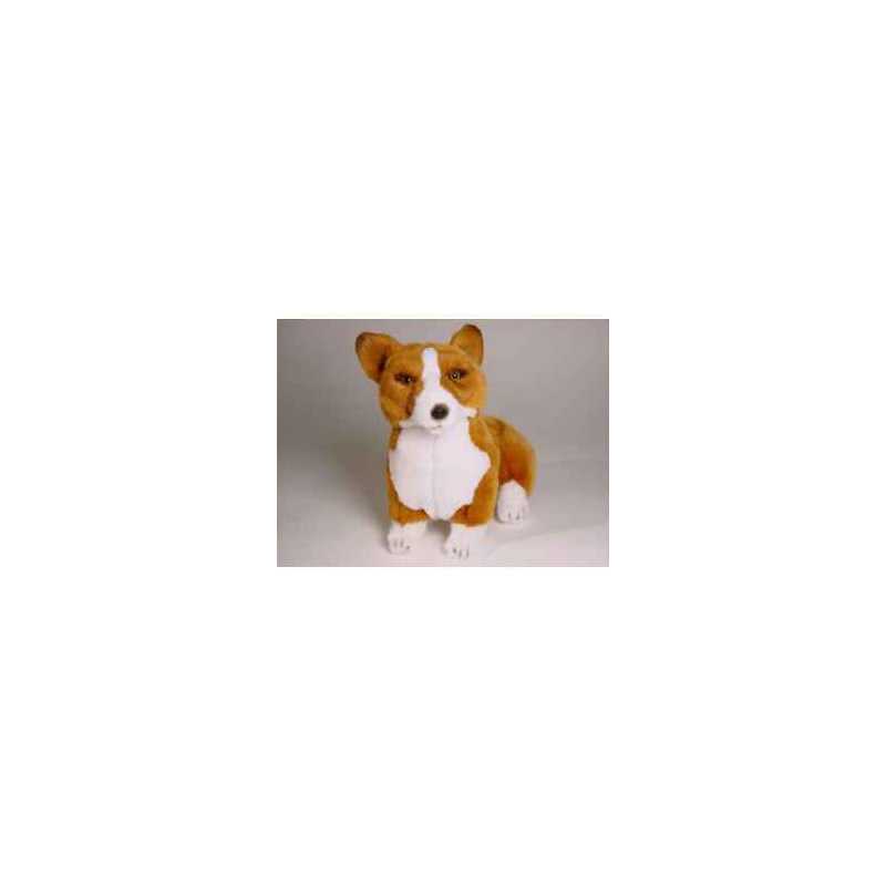 Animaux-Bois-Animaux-Bronzes propose Chien Welsh corgi pembroke 40 cm assis peluche réaliste Piutre 1222