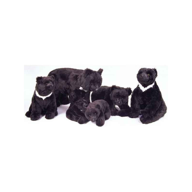 Peluche assise ours noir d'Asie 70 cm Piutre   2191