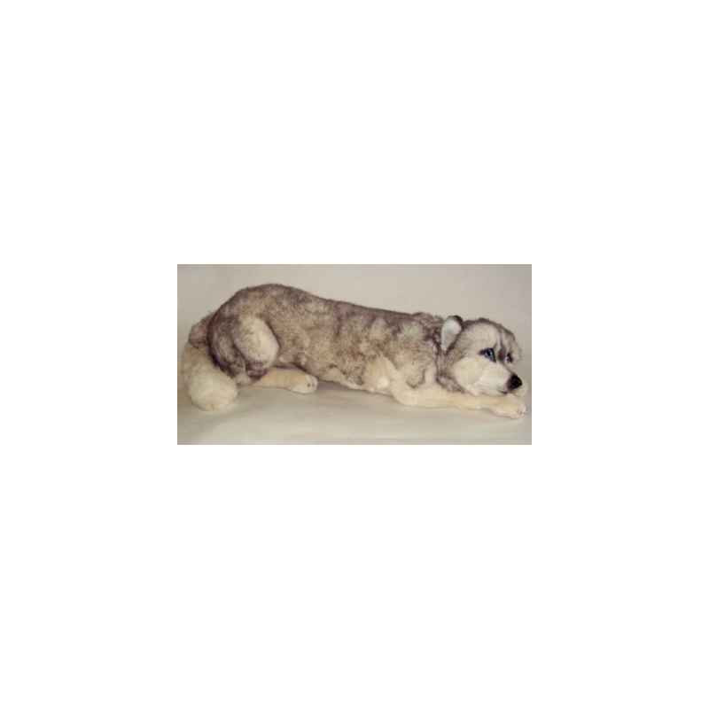 Animaux-Bois-Animaux-Bronzes propose Chien Husky de Sibérie 70 cm peluche animaux allongés réaliste Piutre 3329