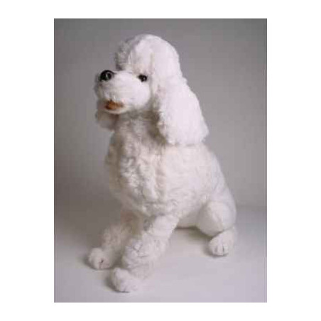 Peluche assise poodle blanc 60 cm Piutre   258