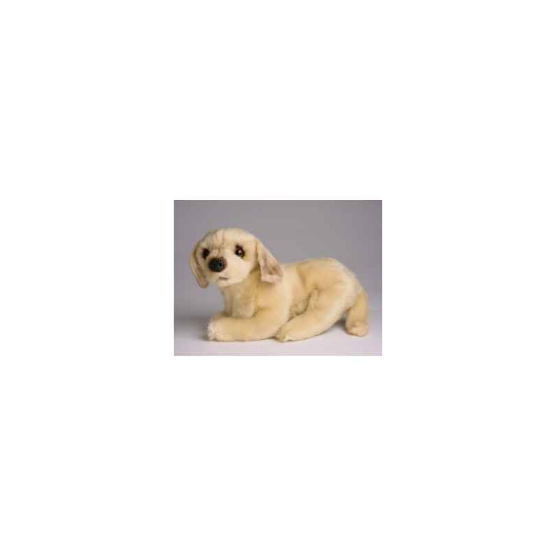 Animaux-Bois-Animaux-Bronzes propose Chien Mascotte golden retriever 20 cm peluche animaux allongés réaliste Piutre 4248