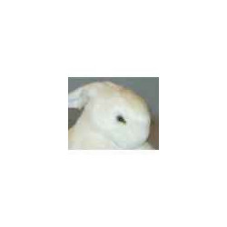  Animaux de la ferme Lapin blanc 30 cm peluche réaliste Piutre 708