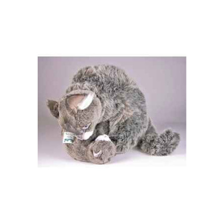 Peluche assise chat soriano avec chaton 38 cm Piutre   318