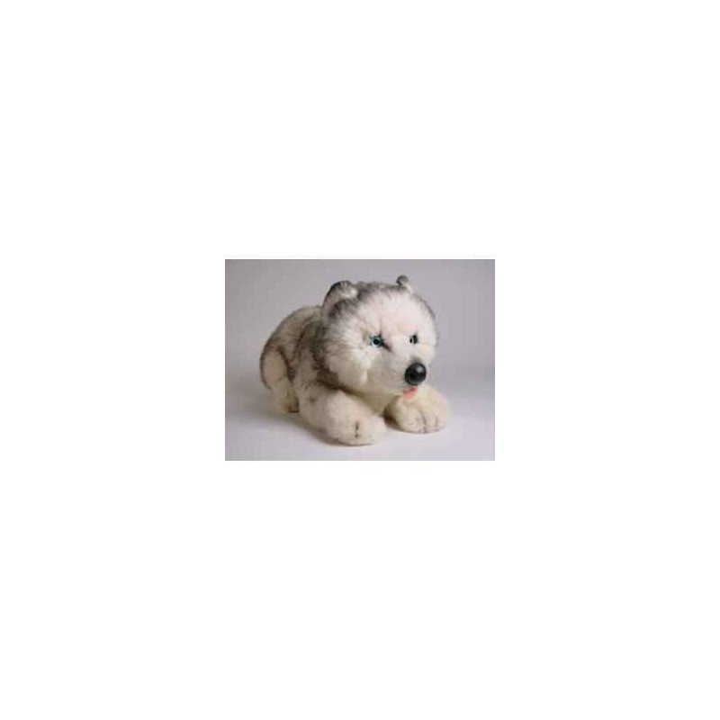 Animaux-Bois-Animaux-Bronzes propose Chien Husky de Sibérie 40 cm peluche animaux allongés réaliste Piutre 2216