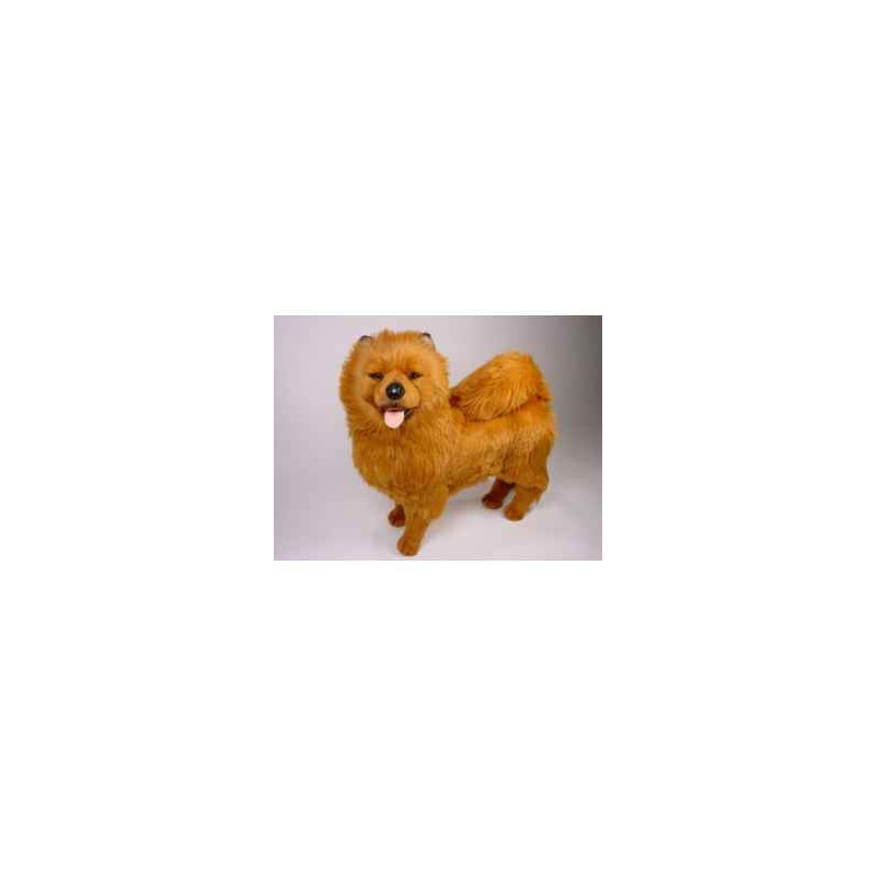 Animaux-Bois-Animaux-Bronzes propose Chien Chow chow cannelle 70 cm peluche animaux debout réaliste Piutre 3246