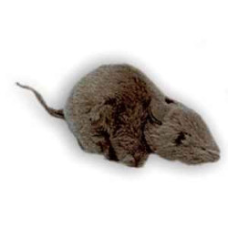  Animaux de la forêt Souris noire 12 cm peluche réaliste Piutre 626