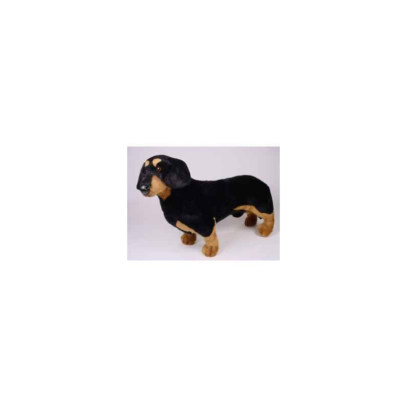 Animaux-Bois-Animaux-Bronzes propose Chien Teckel dachshund 60 cm peluche animaux debout réaliste Piutre 1210