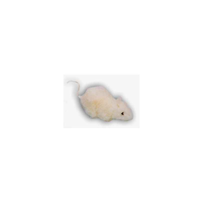  Animaux de la forêt Souris blanche 12 cm peluche réaliste Piutre 627