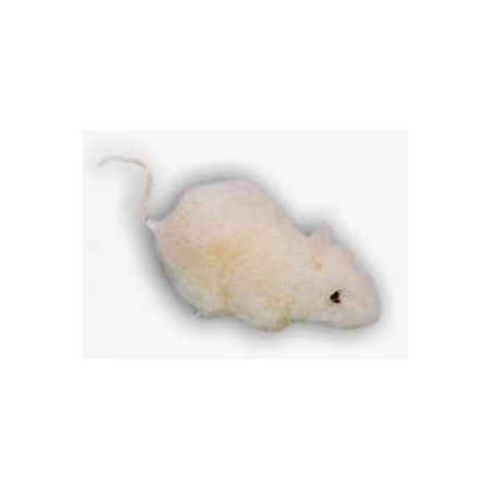 Animaux de la forêt Souris blanche 12 cm peluche réaliste Piutre 627