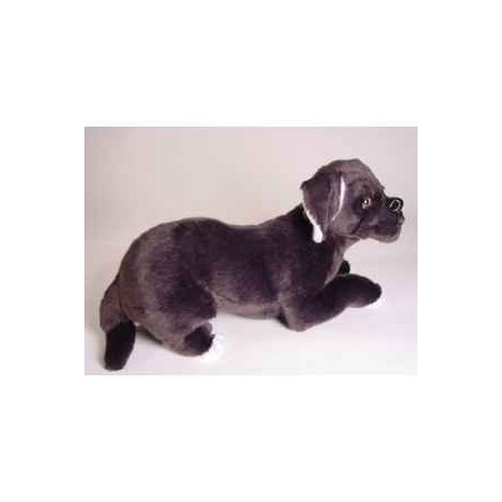 Animaux-Bois-Animaux-Bronzes propose Chien Mastiff napolitain 45 cm peluche animaux allongés réaliste Piutre 1298