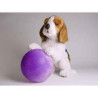 Peluche chiot beagle qui réclame 40 cm Piutre   2243