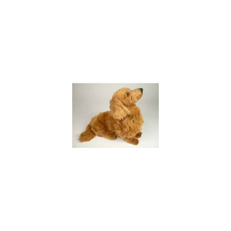 Animaux-Bois-Animaux-Bronzes propose Chien Teckel dachshund, poils longs 35 cm assis peluche réaliste Piutre 2254