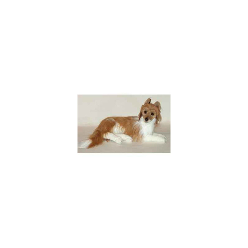 Animaux-Bois-Animaux-Bronzes propose Chien Collie 60 cm peluche animaux allongés réaliste Piutre 1277