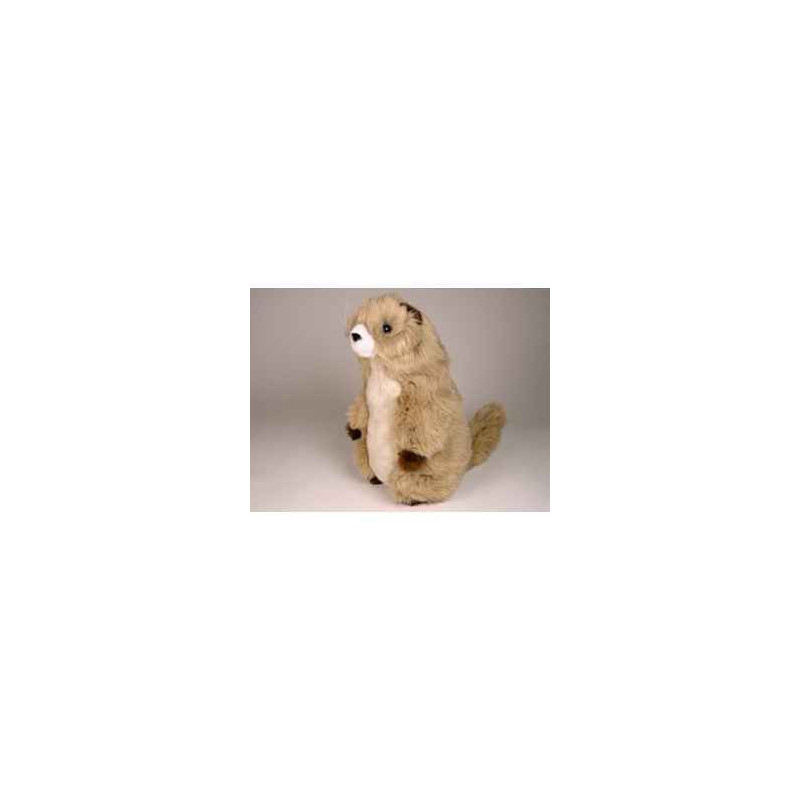 Peluche debout marmotte 38 cm Piutre   2653