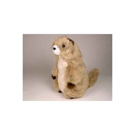 Peluche debout marmotte 38 cm Piutre   2653