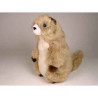 Peluche debout marmotte 38 cm Piutre   2653