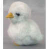  Animaux de la ferme Poussin blanc 12 cm peluche réaliste Piutre 702