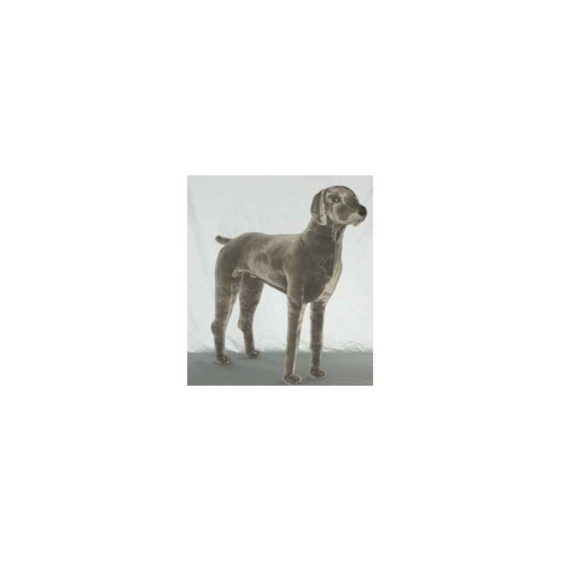 Animaux-Bois-Animaux-Bronzes propose Chien Braque de Weimar 90 cm peluche animaux debout réaliste Piutre 3350