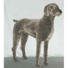 Animaux-Bois-Animaux-Bronzes propose Chien Braque de Weimar 90 cm peluche animaux debout réaliste Piutre 3350