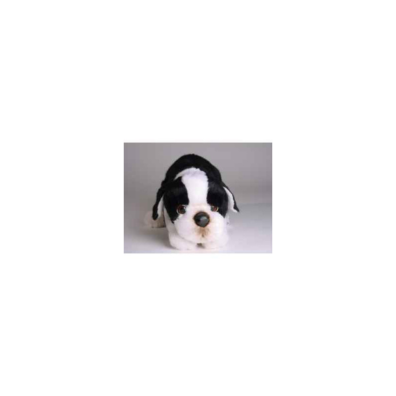 Animaux-Bois-Animaux-Bronzes propose Chien Boston terrier 35 cm peluche animaux allongés réaliste Piutre 4222