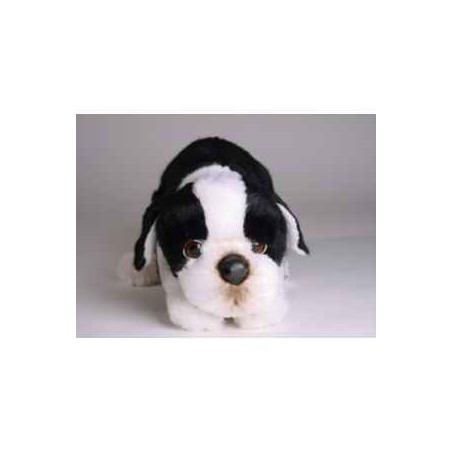 Animaux-Bois-Animaux-Bronzes propose Chien Boston terrier 35 cm peluche animaux allongés réaliste Piutre 4222