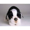 Animaux-Bois-Animaux-Bronzes propose Chien Boston terrier 35 cm peluche animaux allongés réaliste Piutre 4222