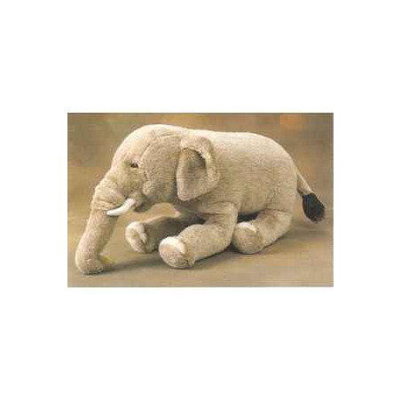 Peluche allongée éléphant d'Inde 60 cm Piutre   2576