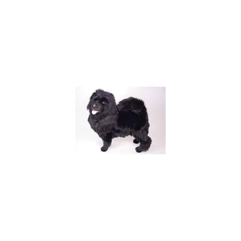 Animaux-Bois-Animaux-Bronzes propose Chien Chow chow noir 70 cm peluche animaux debout réaliste Piutre 3345