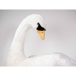 Décoration OiseauxCygne 65 cm peluche -730 Piutre