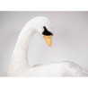 Décoration OiseauxCygne 65 cm peluche -730 Piutre