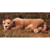 Peluche allongée lionne 140 cm Piutre   2502