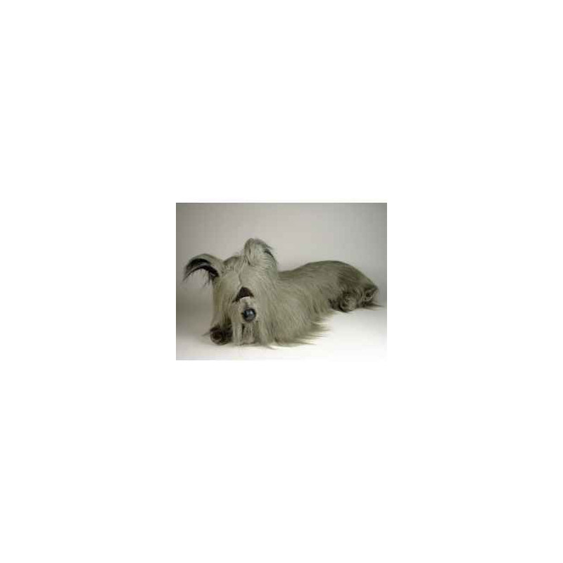 Animaux-Bois-Animaux-Bronzes propose Chien Skye-terrier 80 cm peluche animaux allongés réaliste Piutre 1267