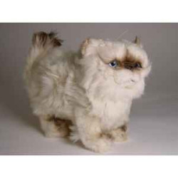 Animaux-Bois-Animaux-Bronzes propose Chat colour point ou himalaya 30 cm peluche animaux debout réaliste Piutre