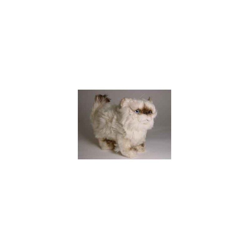 Animaux-Bois-Animaux-Bronzes propose Chat colour point ou himalaya 30 cm peluche animaux debout réaliste Piutre