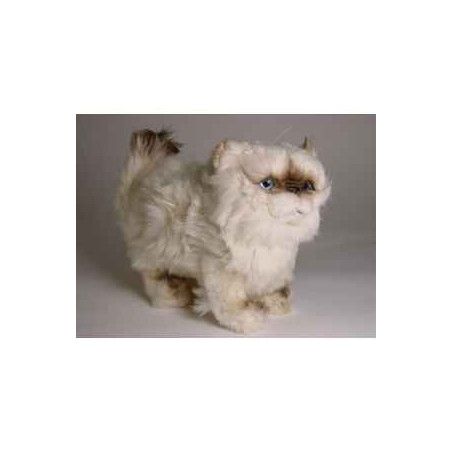 Animaux-Bois-Animaux-Bronzes propose Chat colour point ou himalaya 30 cm peluche animaux debout réaliste Piutre