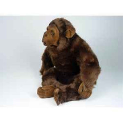 Animaux de la forêt Chimpanzé 40 cm assis peluche réaliste Piutre 2570