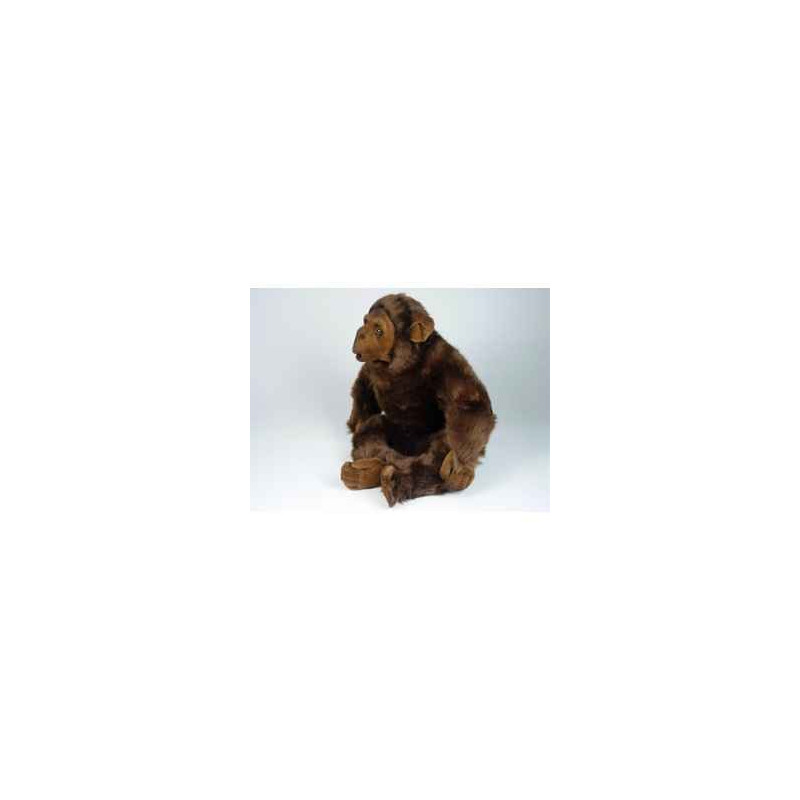  Animaux de la forêt Chimpanzé 40 cm assis peluche réaliste Piutre 2570